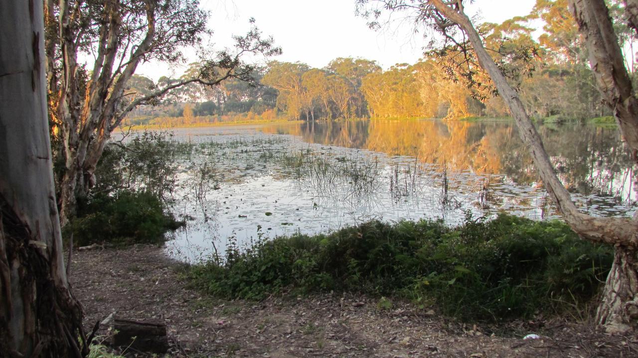 Lake Russell Retreat Emerald Beach Buitenkant foto