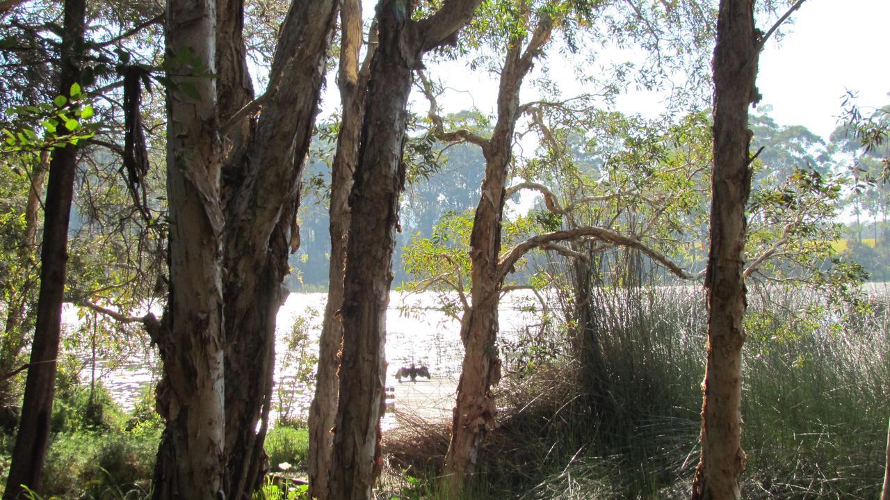 Lake Russell Retreat Emerald Beach Buitenkant foto